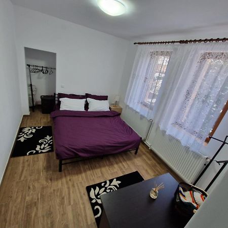 Apartamentul Florilor De Fan Azuga Ngoại thất bức ảnh